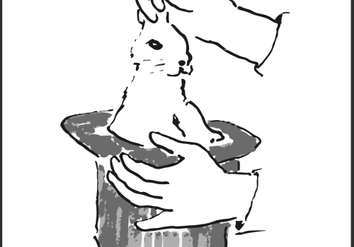 Illustration of hands pulling a rabbit out of a top hat.